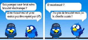 Faits Divers