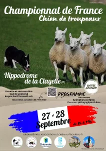 La Clayette : Championnat de France de chiens de troupeau