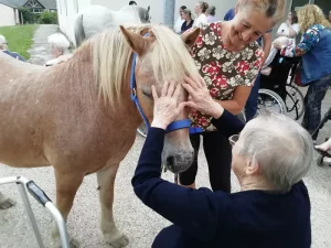 Quand le cheval entre en EHPAD