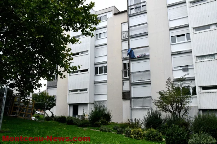 habellis-160925161026