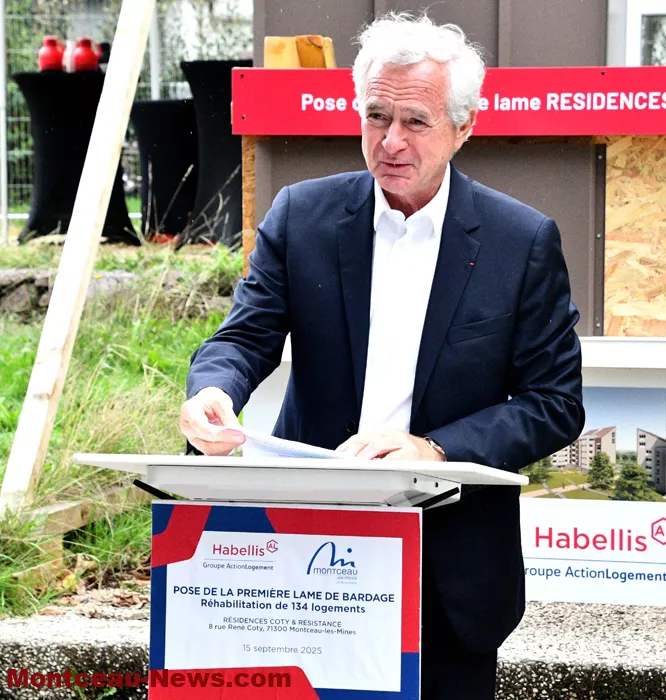 habellis-160925161028