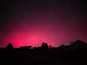 Nos lecteurs ont toujours le bon reflex(e)