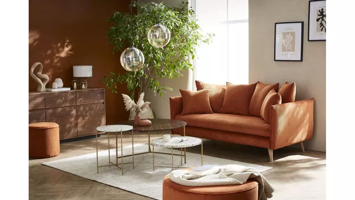 canape-annecy-2811258