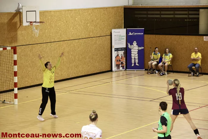 hand-dijon-sanvignes-18122514