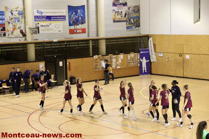 hand-dijon-sanvignes-18122525