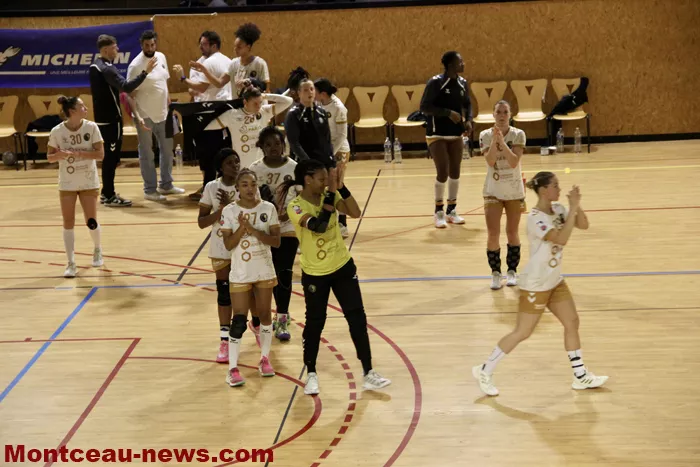 hand-dijon-sanvignes-18122527