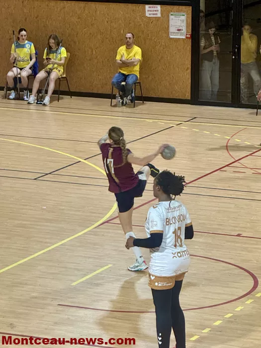 hand-dijon-sanvignes-1812255