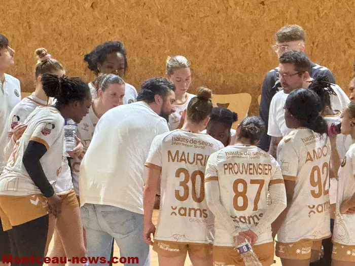 hand-dijon-sanvignes-1812258