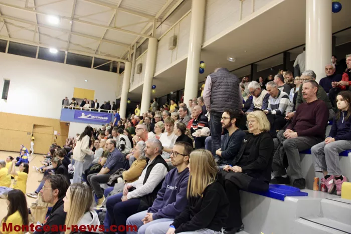 hand-dijon-sanvignes-1812259