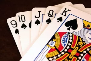 Concours de manille à Saint-Bonnet-de-Vieille-Vignes (Sortir)