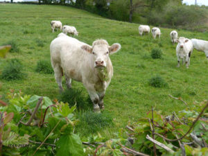 Chambre d’agriculture de Saône-et-Loire