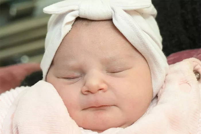 bebe-rojda-2501264