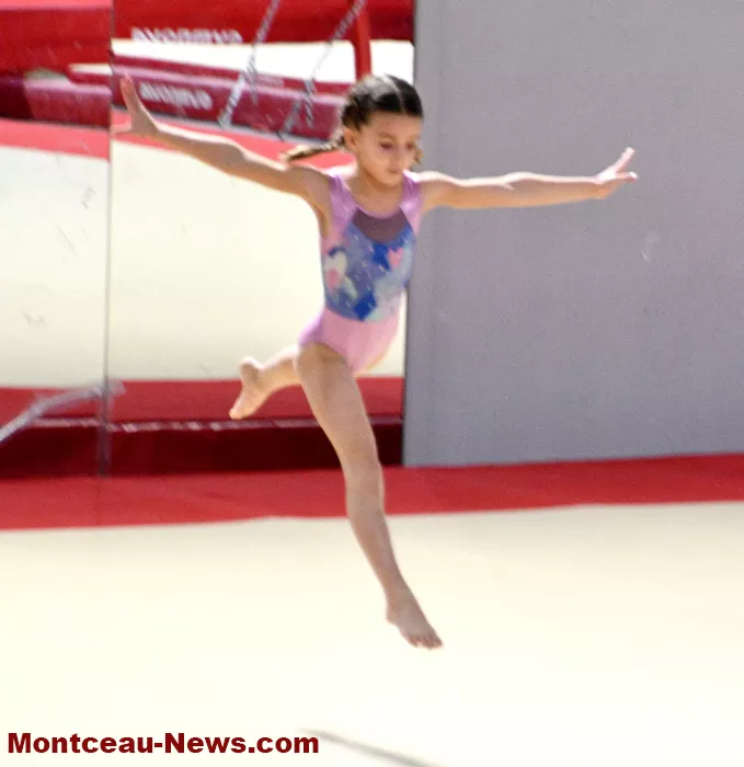 dept-gym-montceau-2601269