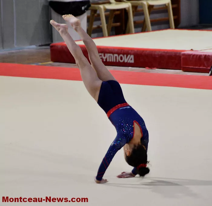 gym-montceau-26012615