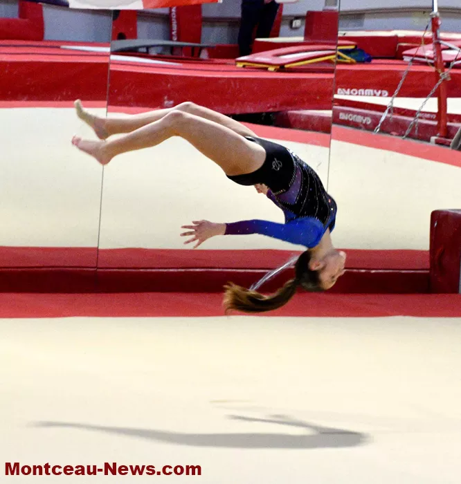 dept-gym-montceau-1002264