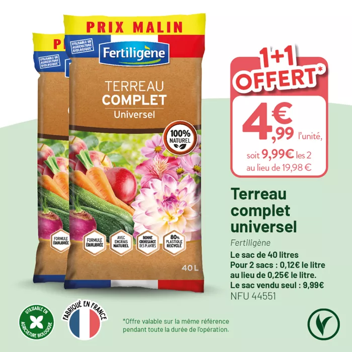 VILLAVERDE_OP_TERREAUX_RS_1080X1080_20251212_1 (1)