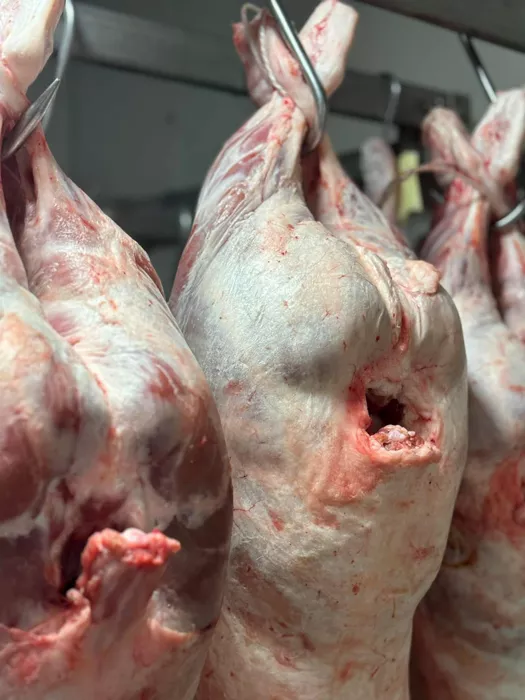 desousa-080425161028