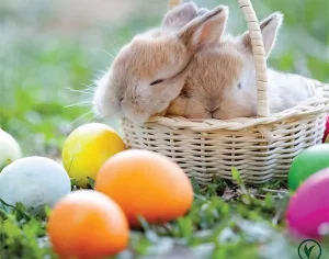 Villaverde (Montceau – Gourdon)