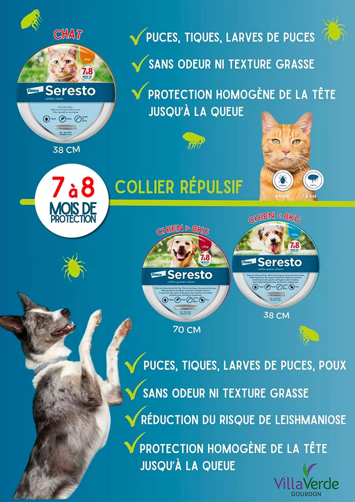 animal-villaverde-270426