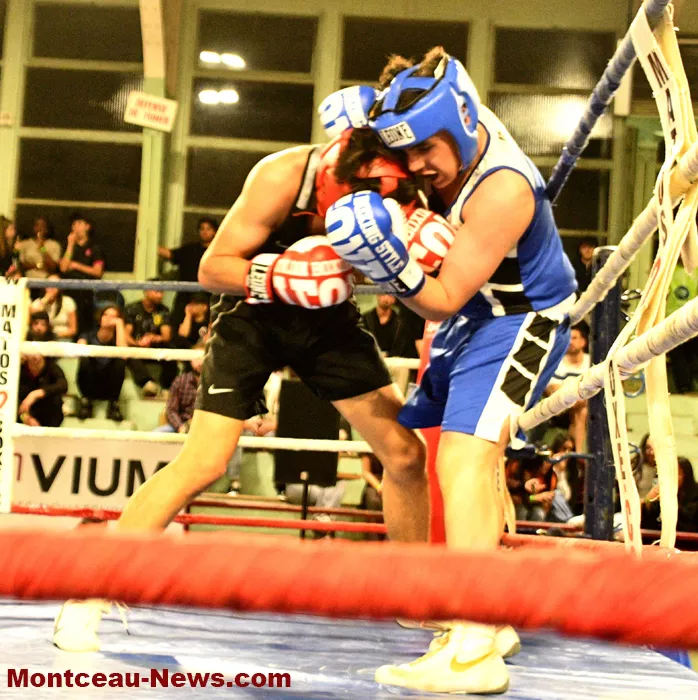 ring-box-montceau-19042647