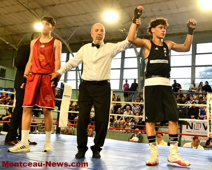 ring-box-montceau-1904266