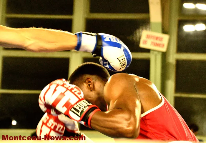 ring-box-montceau-19042698