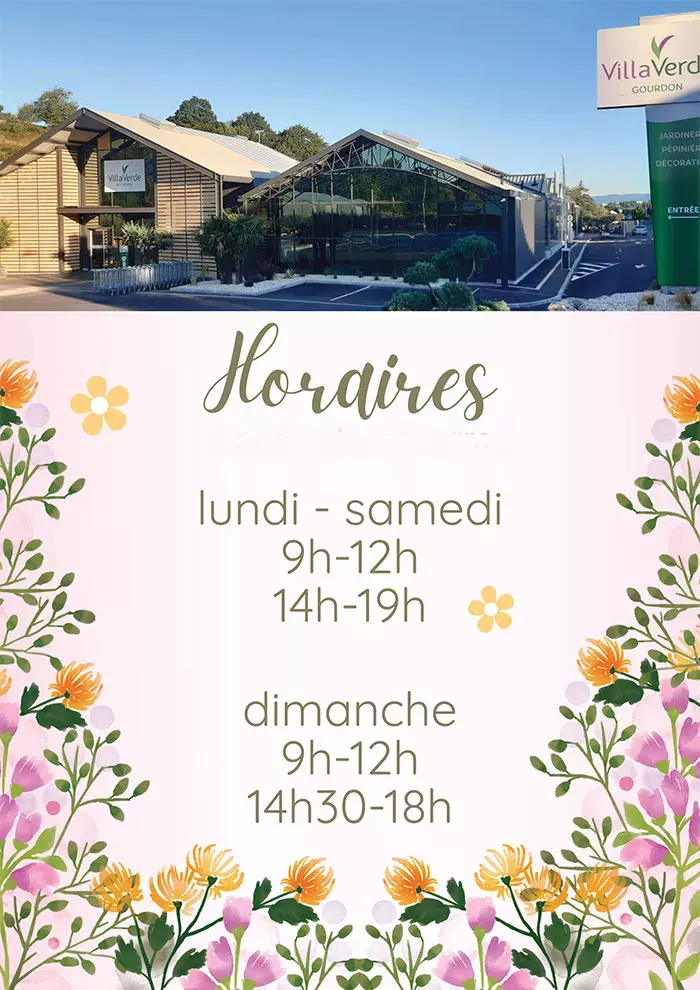 villaverde-chien-1803262