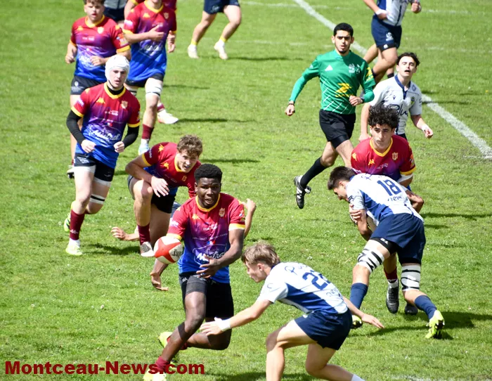 rugby-1705264