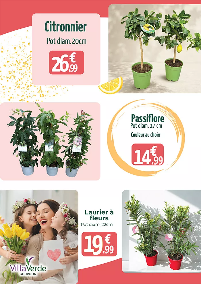villa-mere-2105265