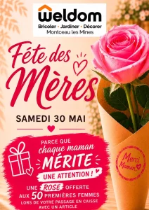 Dans magasin Weldom – Montceau