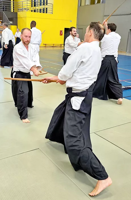 aikido-1006263