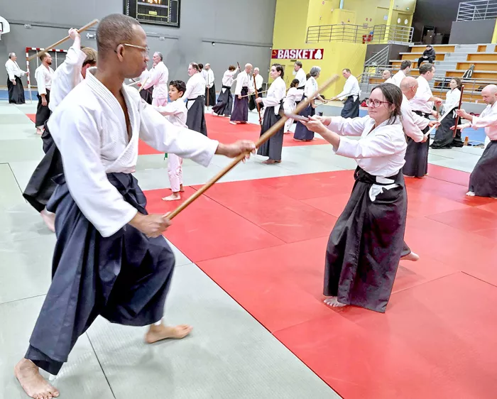 aikido-1006264