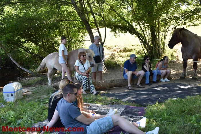 st-romain-chevaux-15052619