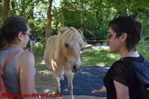 St Romain-sous-Gourdon : un dimanche après-midi magique au milieu des chevaux