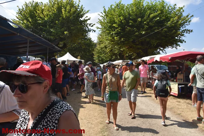 crapiaux-mont-st-vincent-200726136