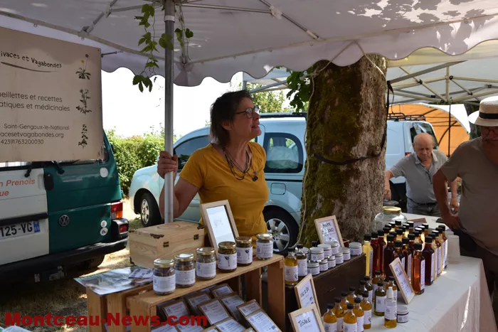 crapiaux-mont-st-vincent-20072626