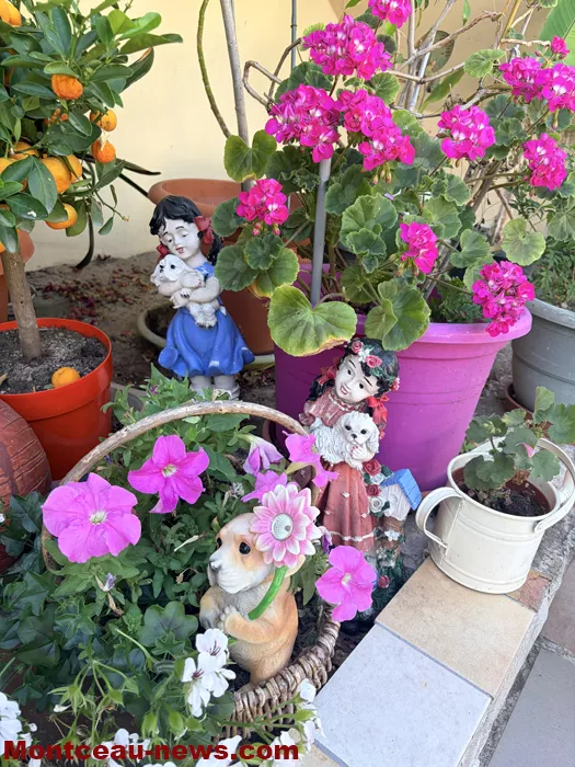 maison fleuris-09072613