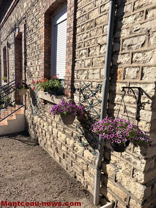 maison fleuris-0907263