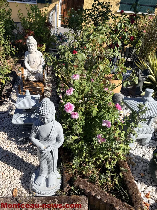 maison fleuris-09072641