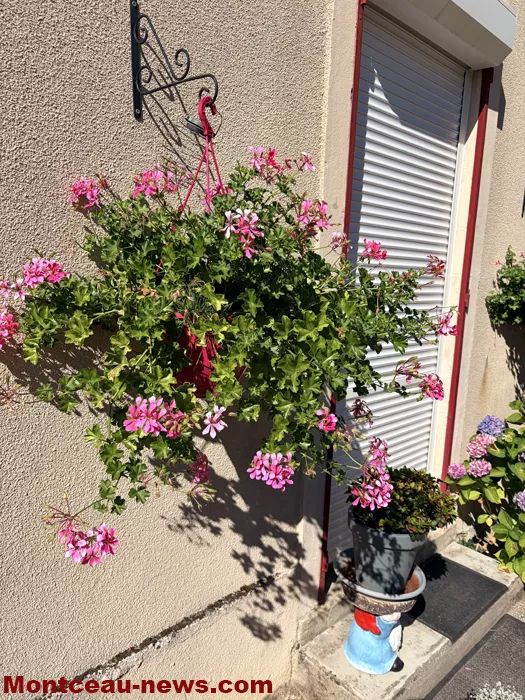 maison fleuris-09072666