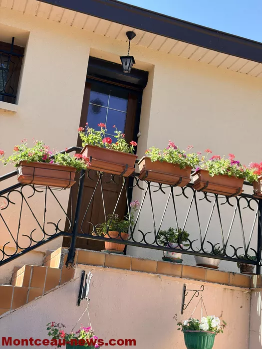 maison fleuris-09072673