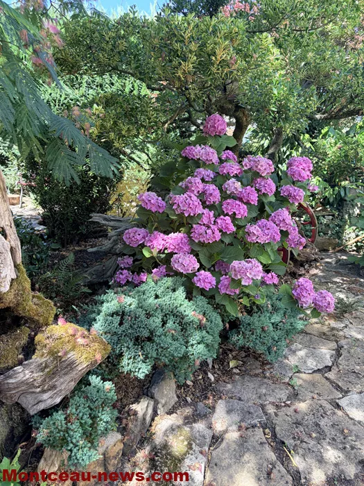 maison fleuris-09072690