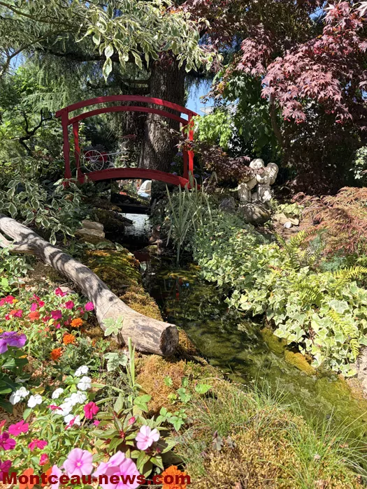 maison fleuris-09072695
