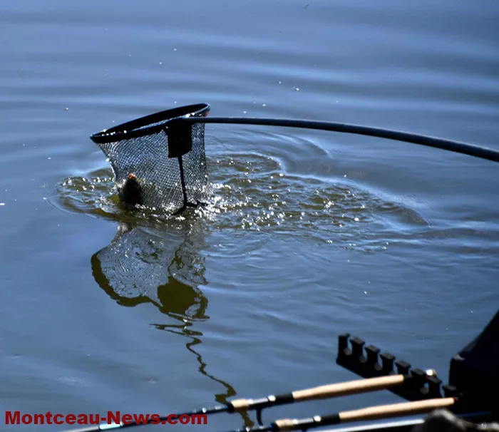 peche-samedi-09082618