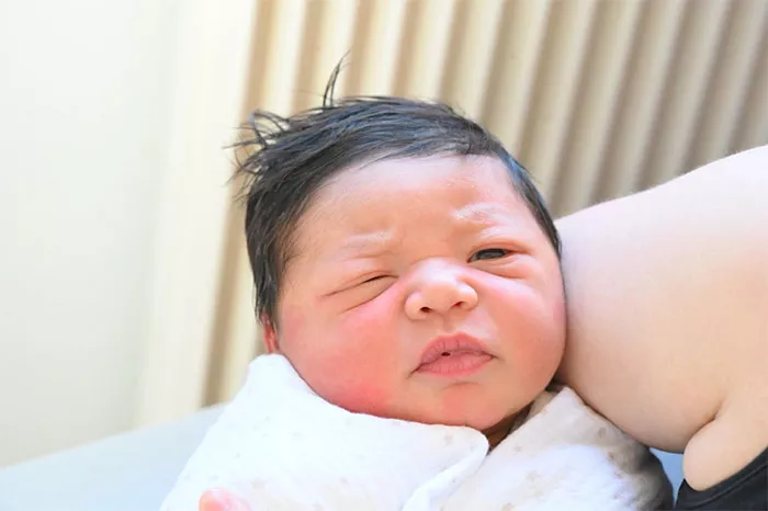 bebe-elliot-2709263