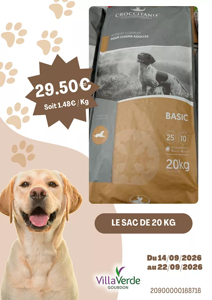 villa-chien-140926