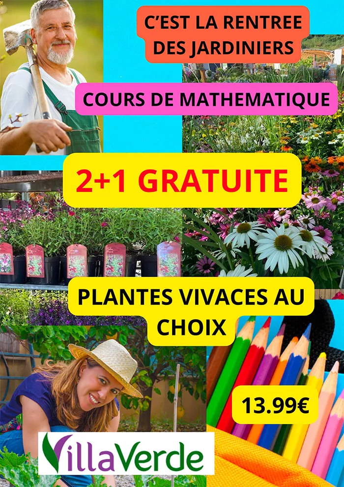 villaverde-0109263