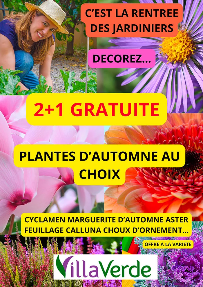 villaverde-0109264