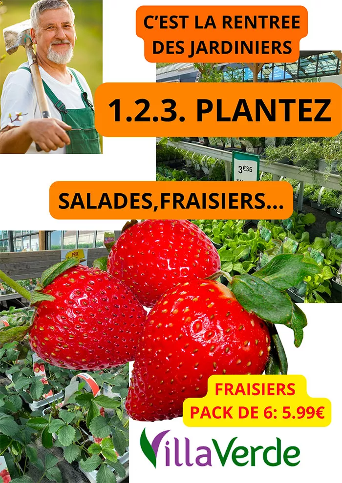 villaverde-0109266