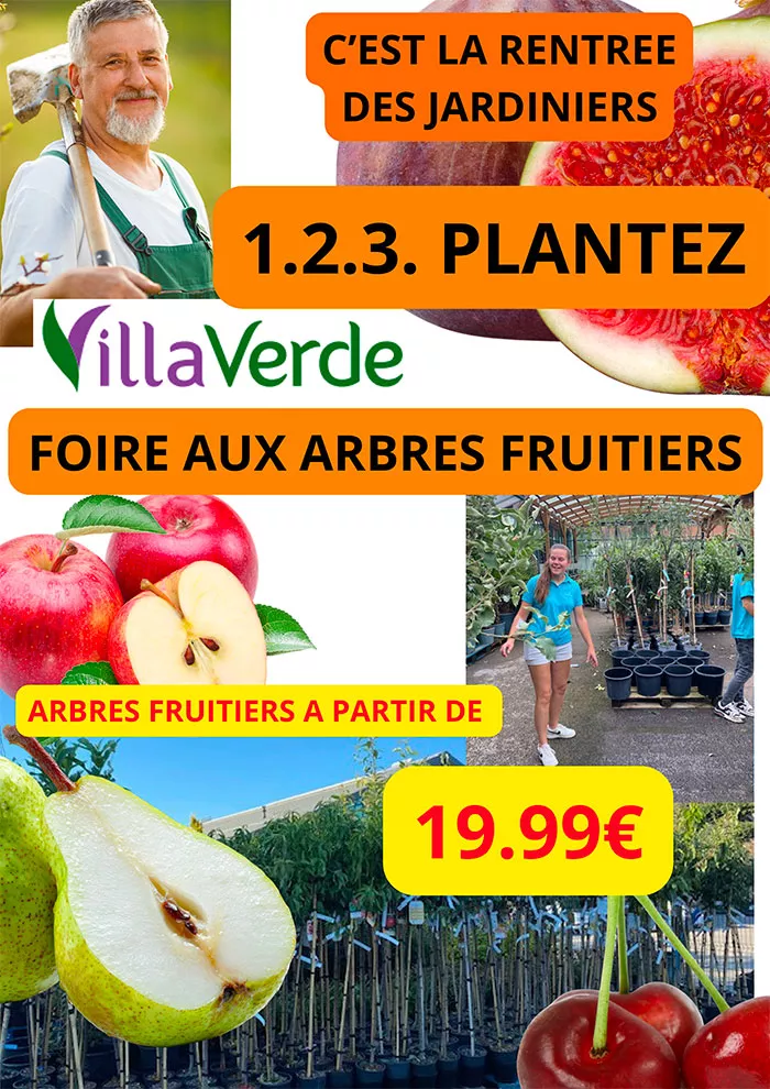 villaverde-0109267